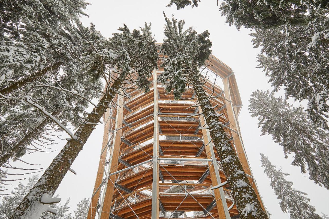 Ski Hotel 乌帕河畔斯沃博达 外观 照片